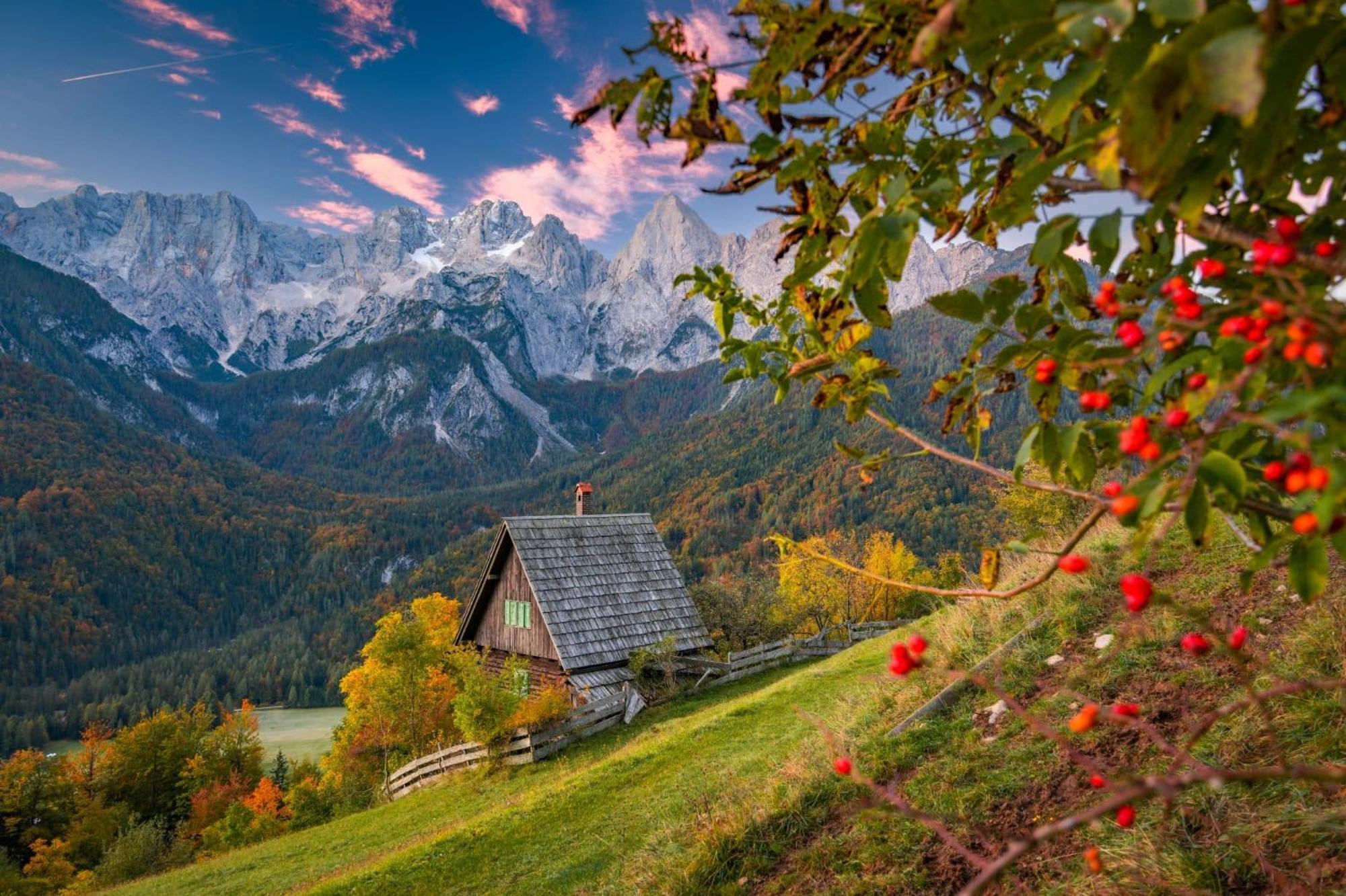 Sunny Retreat Apartment Kranjska Gora Exterior foto